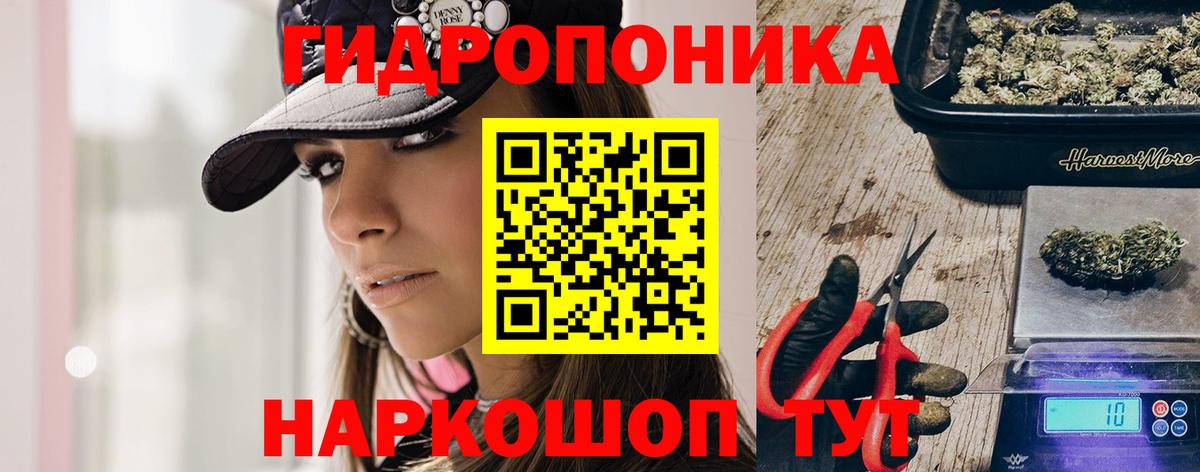 Каннабис AK-47  Вход с VPN  Бошки марихуана планчик  Шишки марихуана OG Kush  Кыштым 